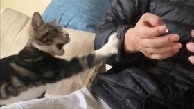 皮皮朱吃瓜,揭秘娱乐圈那些不为人知的幕后故事