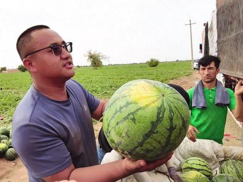 假装吃瓜网友图片