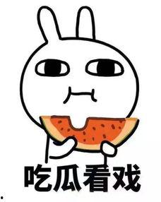 呱太郎吃瓜网,揭秘娱乐圈幕后故事，带你领略娱乐风云