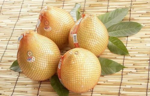 51cg10每日吃瓜必吃防走丢吃瓜中心,每日必吃瓜，防走丢吃瓜中心带你畅游娱乐热点