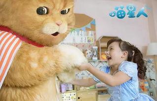 猫吃瓜瞳孔变大,瞳孔放大背后的奥秘